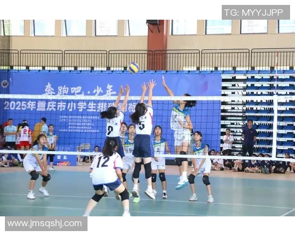 重庆排球队比赛经验分享:从训练到赛场的成长之路 重庆排球队比赛经验分享:从训练到赛场的成长之路