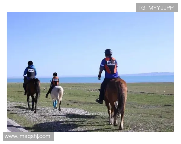 马字足球明星的传奇之路与辉煌成就探秘 马字足球明星的传奇之路与辉煌成就探秘