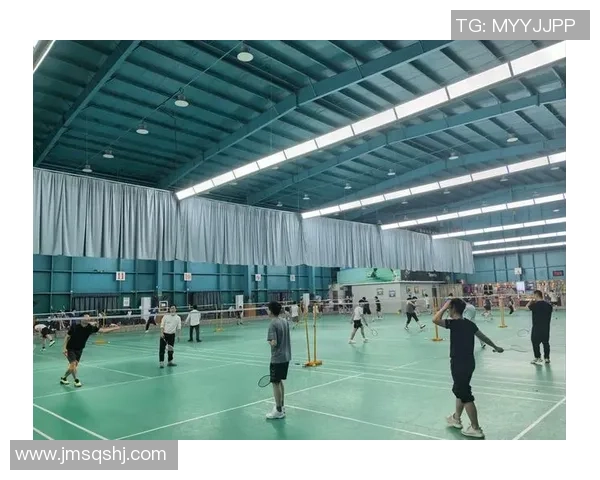 专业解读：南京羽毛球队的运营打法